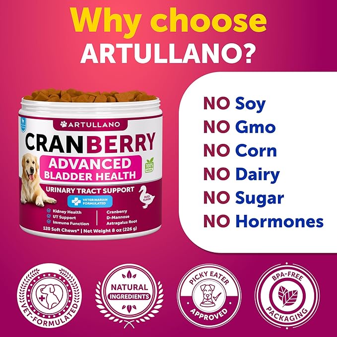 Dog UTI Treatment - Cranberry Supplement & Bladder Control for Dogs - Urinary Tract Infection Incontinence Pill, Bladder Stones - UTI Medicine Treats - 120 Soft Chews for Kidney Support with Fish Oil