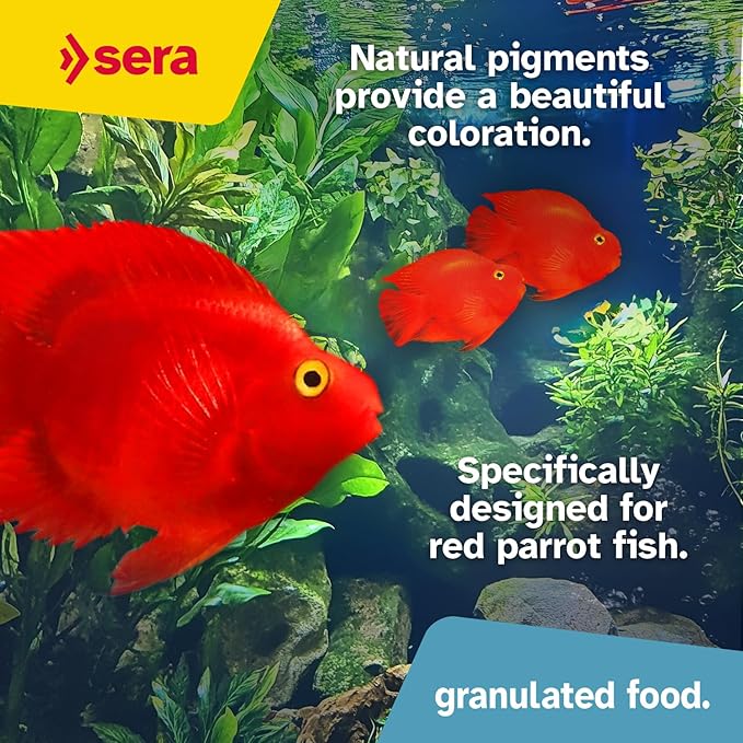 Sera Red Parrot Color Granules 33,8 fl oz | for Parrot Cichlids & Other fastidious, Colorful Fish | Natural carotenoids & Krill for Colorful Fish | Valuable Ingredients for Optimal Growth Development