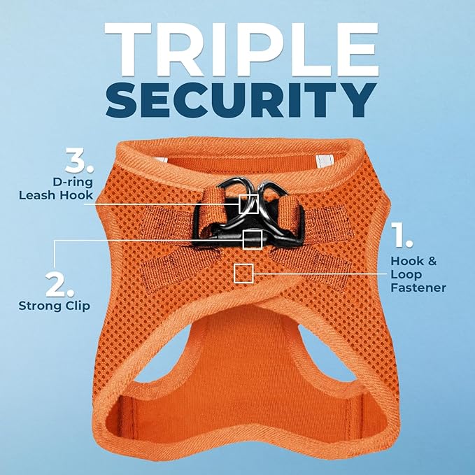 Voyager Step-in Air All Weather Mesh Harness and Reflective Dog 5 ft Leash Combo with Neoprene Handle, for Small, Medium and Large Breed Puppies by Best Pet Supplies - Set (Orange), S