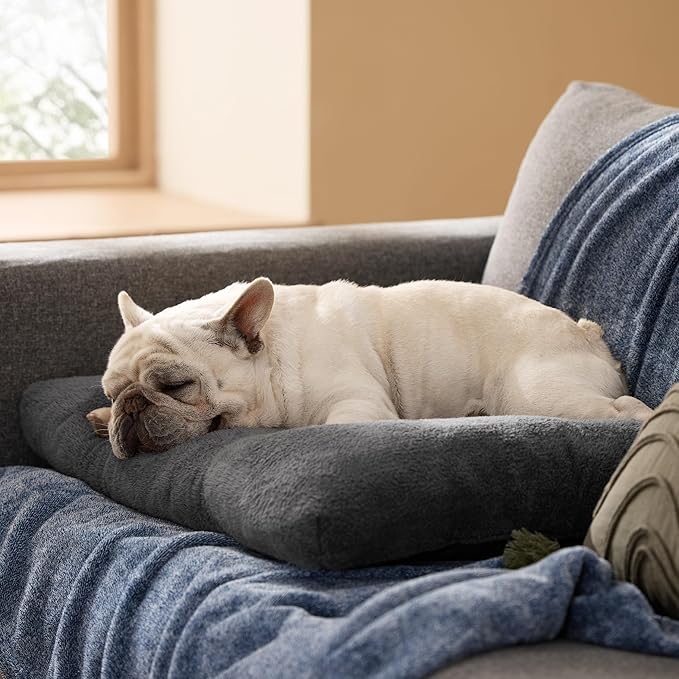 Bedsure Washable Dog Bed Medium Size Dog, Comfort Fluffy Plush Pillow Bed Crate Pad, Non-Slip and Machine Washable Kennel Pet Sleeping Mat, 29"x21", Dark Gray