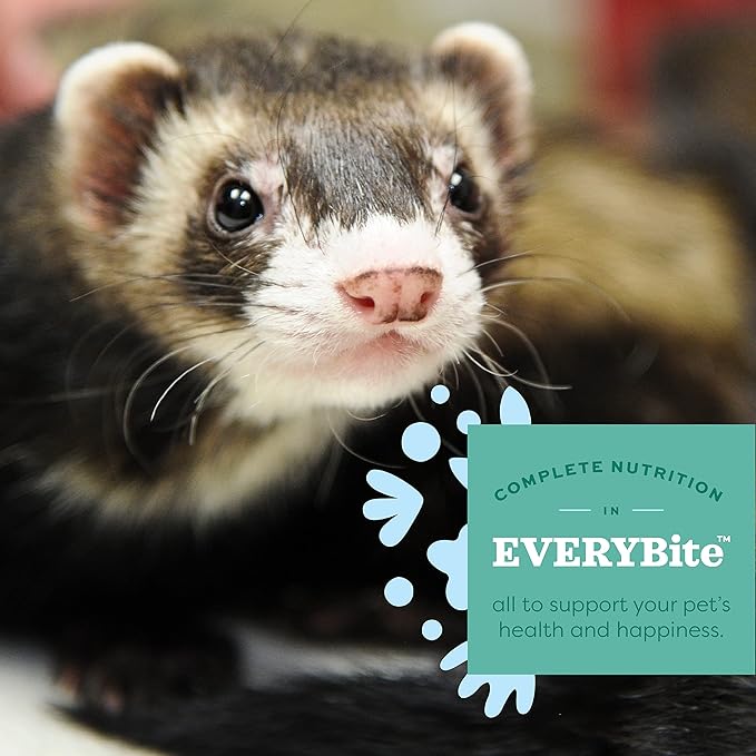 Oxbow Animal Health Oxbow Essentials Ferret Food, Vitamin & Mineral Rich Formula for Ferret, High Protein Food & High Fat, Small Animal Pet Products, Made in USA, 4 lb Bag
