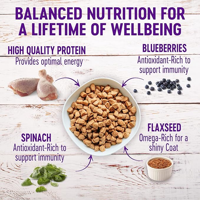 Wellness Natural Pet Food Complete Health Natural Grain Free Dry Dog Food, Chicken, 24-Pound Bag