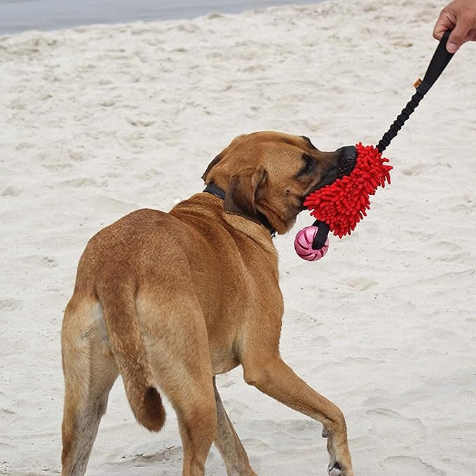 Dingo Dog tug of war Toy for Outdoor Play and Traning Agility, Interactive Toy with Bungee Shock Absorber and Rubber Ball, Cuddly and Shaggy Plush tug Toy for Motivation and Fun, Color: red 15588
