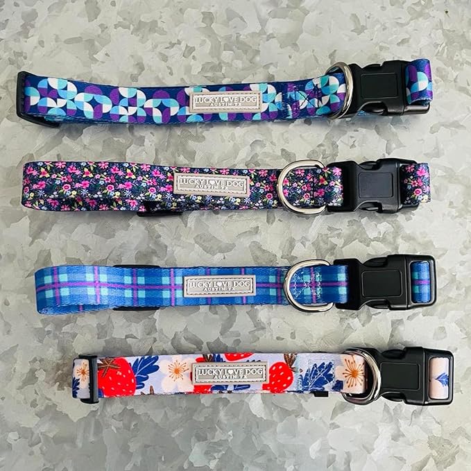 Lucky Love Dog - Adjustable Dog Collar and Leash Set with Easy Click Buckle for Small to Large Dogs, Durable, & Comfortable Collar for Male & Female Dogs, Puppies & Adult Ones - Jasper Combo, XL