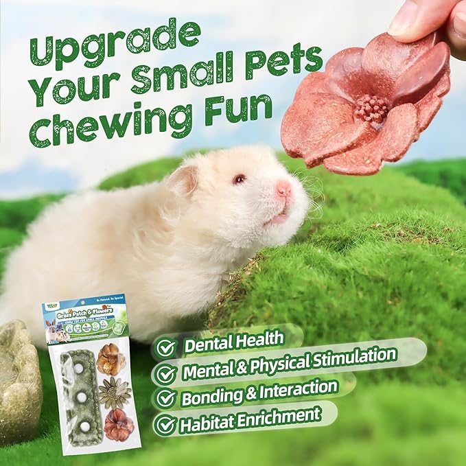 TEEWY 4PCS Guinea Pig Chew Toys, Prevent Teeth Overgrowth, Natural Timothy Grass & Vegetables, Hamster Chew Toys, Guinea Pig Toys, Chinchilla Toys, Grass Patch & Flowers