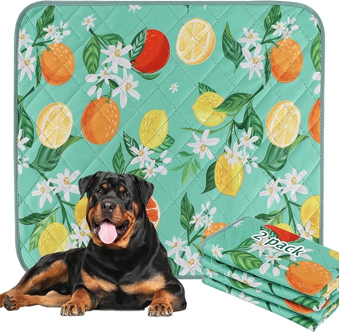 BVAGSS Washable Pee Pads for Dogs, 2 Pack Reusable Leakproof Puppy Wee Wee, Non-Slip Waterproof Pet Training, Super Absorbent Whelping XH081 (Green Lemon, 42X28 Inch)