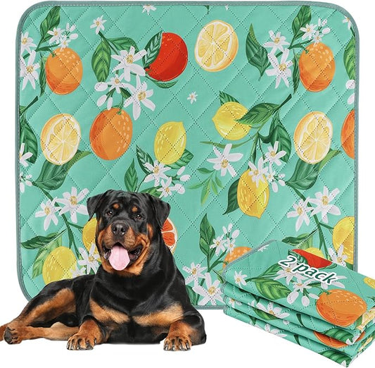 BVAGSS Washable Pee Pads for Dogs, 2 Pack Reusable Leakproof Puppy Wee Wee, Non-Slip Waterproof Pet Training, Super Absorbent Whelping XH081 (Green Lemon, 42X28 Inch)