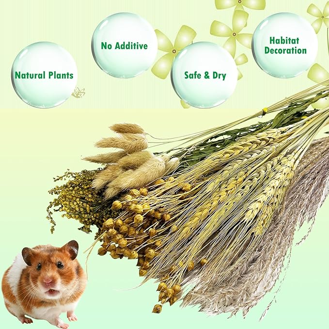 PINVNBY Natural Flower & Herb Hamster Bedding Habitat Decor Grain Guinea Pig Bedding Hamster Sprays Hamster Cage Accessories for Guinea Pig Dwarf Syrian Gerbils Mice Mouse Rat (Grain Version)