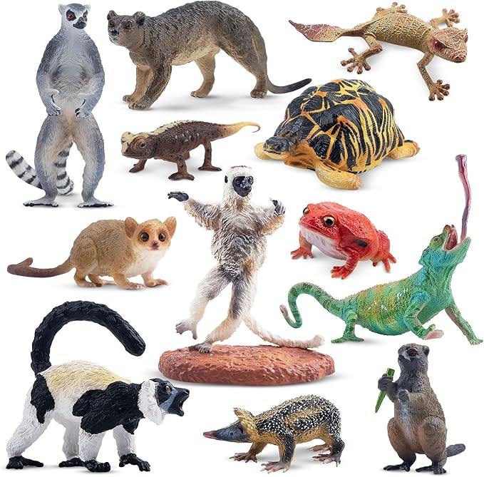 Toymany 12PCS Madagascar Animal Figurines Set, Realistic Lemur Jungle Animal Toys Set Includes Chameleon, Tortoise,Gecko,Fossa,Sifaka -Educational Forest Animals Figure Toy Collection for Kids Adults