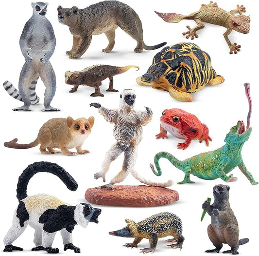 Toymany 12PCS Madagascar Animal Figurines Set, Realistic Lemur Jungle Animal Toys Set Includes Chameleon, Tortoise,Gecko,Fossa,Sifaka -Educational Forest Animals Figure Toy Collection for Kids Adults