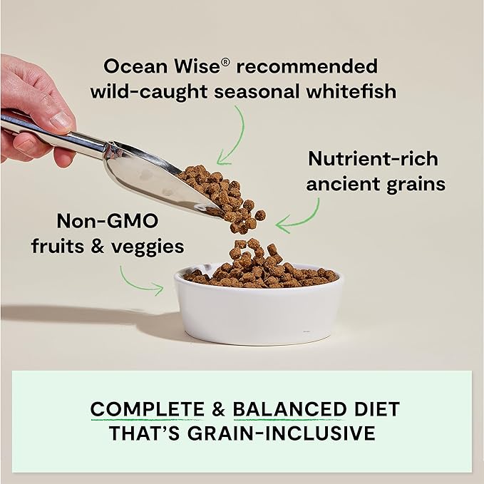 Open Farm Catch-of-The-Season Whitefish & Ancient Grains Dry Dog Food, Wild-Caught Whitefish Recipe with Wholesome Grains and No Artificial Flavors or Preservatives, 11 lbs