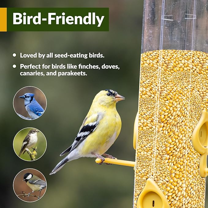 Wildlife Organic White Millet for Bird Feeding and Wildlife Bird attracting, Non-GMO and USA Grown, 25 lbs