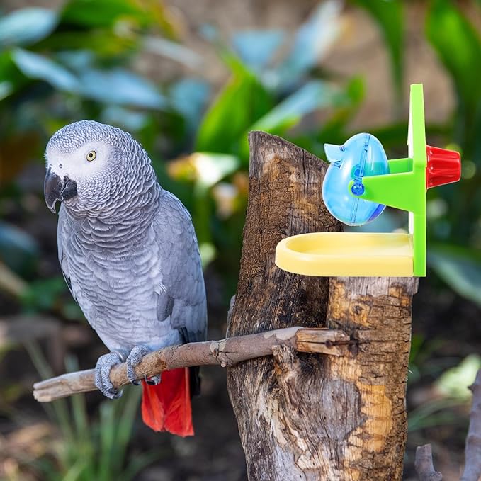 balacoo Bird Foraging Box: Bird Feeding Toy Treat Dispensing Feeder Parrot Treat Box Parakeet Feeder, Tip and Toy for Parakeet Cockatiel