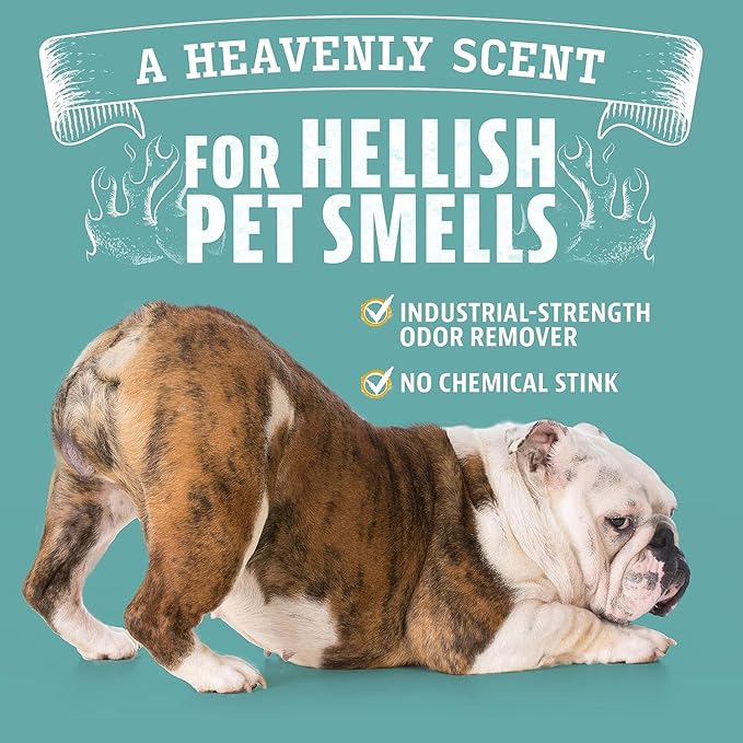ANGRY ORANGE Pet Urine Odor Eliminator - Pack of 2 Citrus Deodorizers for Strong Dog or Cat Urine Smells on Carpet, Furniture & Floors - 24 oz Spray & 8 oz Concentrate - Puppy Supplies