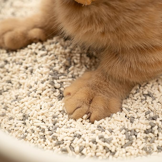 Lady N Granular Tofu Cat Litter Mini-Pellet Compatible with Automatic Self Cleaning Cat Litter Box, Strong Clumping Ultra Absorbent, Low Tracking, Odor Control Activated Charcoal 9lb