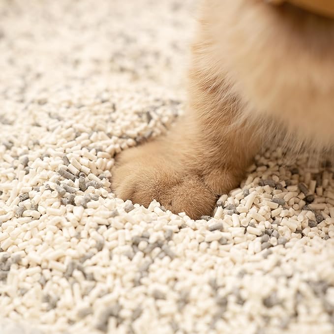 Lady N Granular Tofu Cat Litter Mini-Pellet Compatible with Automatic Self Cleaning Cat Litter Box, Strong Clumping Ultra Absorbent, Low Tracking, Odor Control Activated Charcoal 18lb