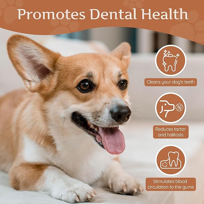 Wildfang® Coffee Wood Dog Chew, Small – Tough Chew Toys for Aggressive Chewers, Dog Teething Toys for Puppies, Training for Chewing Muscles, Coffee Tree Sticks for Small Dogs (22–33 lbs), Pack of 3