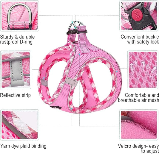 haapaw Dog Harness with Leash Set, No Pull Adjustable Reflective Step-in Puppy Harness with Thickened Padded Vest for Extra-Small/Small Medium Dogs