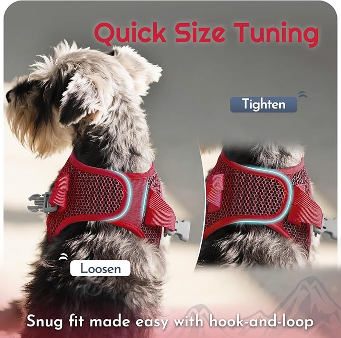 Eagloo Small Dog Harness and Leash Set, Step in Puppy Vest with Breathable Soft Mesh, Walking Reflective Pet Harness for Medium Small Dogs, Red, L