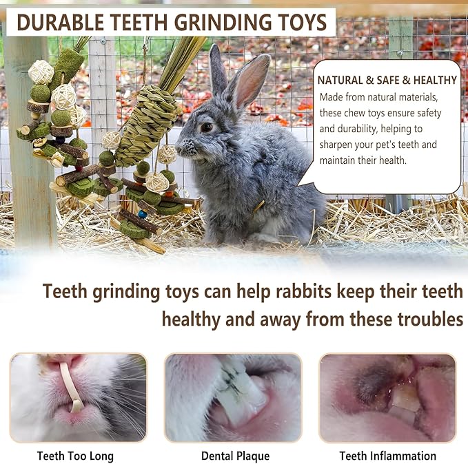 Rabbit Chew Toy, 2Pcs Bunny Cage Hanging Chew Toy & Treats,Natural Material Handwoven Chinchilla Treats Toys for Guinea Pig Hamster Rat and Other Small Pets Teeth Grinding