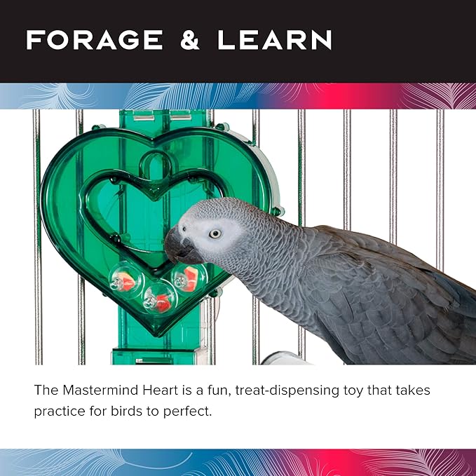 Featherland Paradise - Creative Foraging Systems Mastermind Heart, Interactive Cage-Mounted Bird Treat Toy