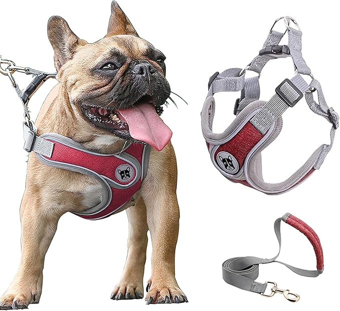 Large Dog Harness and Leash Set,No Pull Adjustable Step in Soft Mesh Vest Harness,Easy Walk Reflective Pet Harness with Padded Handle for Walking Training Small Medium Large Dogs and Cats (Red, L)