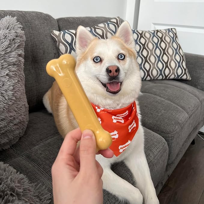 Nylabone Power Chew Classic Bone Chew Toy for Dogs, Durable Dog Toys for Aggressive Chewers, Peanut Butter Flavor, Large/Giant - Up to 50 lbs. (1 Count)