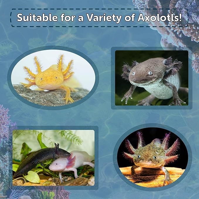 Aquatic Foods Inc. Axolotl Pellet Food 1/4" Soft Moist Sinking Pellets for Juvenile Axolotl Also Shrimp, Snails, Crayfish, Bottom Tropical Fish, Blackworm Pellets Included 6oz Canister