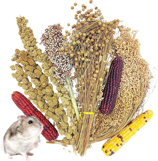 Fhiny Natural Hamster Sprays Edible Hamster Bedding Air-Dried Grain Set for Habitat Decor Mice Cage Accessories for Gerbils Lemmings Parrots Rats and Other Small Animals