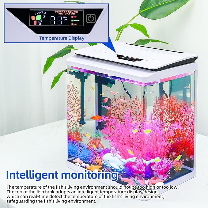 3 Gallon Fish Tank Starter Kit with 7-Color LED, Filter & Oxygenation System – High-Clarity Betta & Goldfish Aquarium