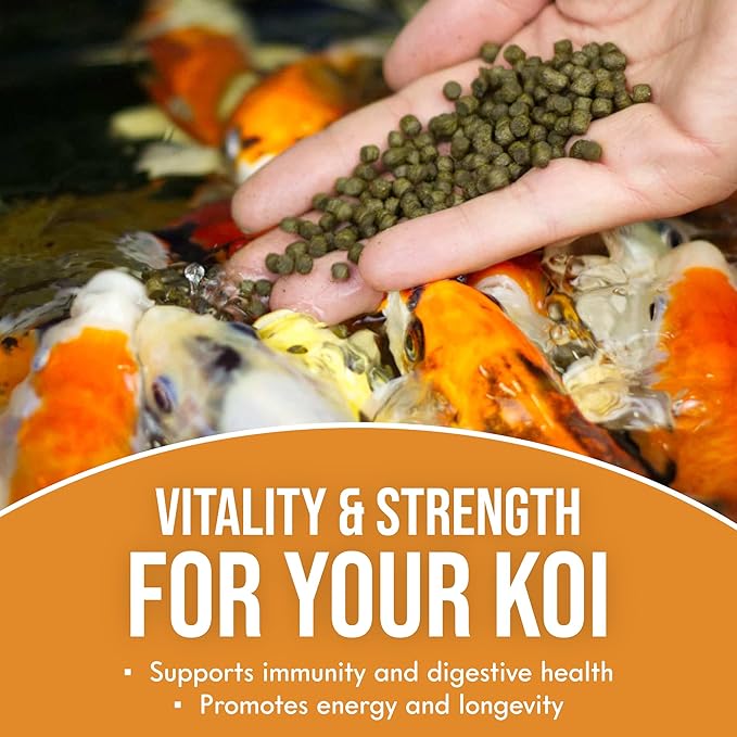 All Season Swim Koi Food 2.5lb (1 Pack 2.5lb)