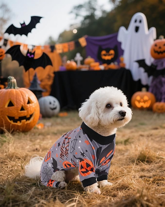 PET SHOW 4 Pack Halloween Small Dog Pajamas for Doggie Puppy Cats Kitten Onesies Pumpkin Ghost Soft Fleece Stretchy Jumpsuit Costume Boy Girl Pets PJs with Sleeve Clothes(XS)