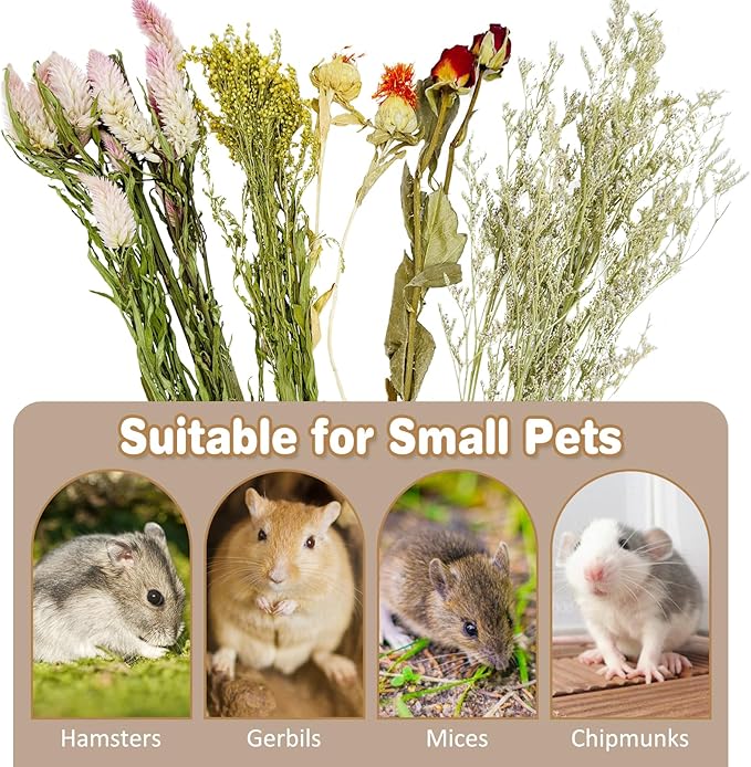 Fhiny Natural Hamster Bedding, Flower & Herb Hamster Bedding Mate Hamster Sprays Gerbil Habitat Decor Accessories for Dwarf Syrian Hamster Gerbil Mouse Mice Lemming Degus or Other Small Pets