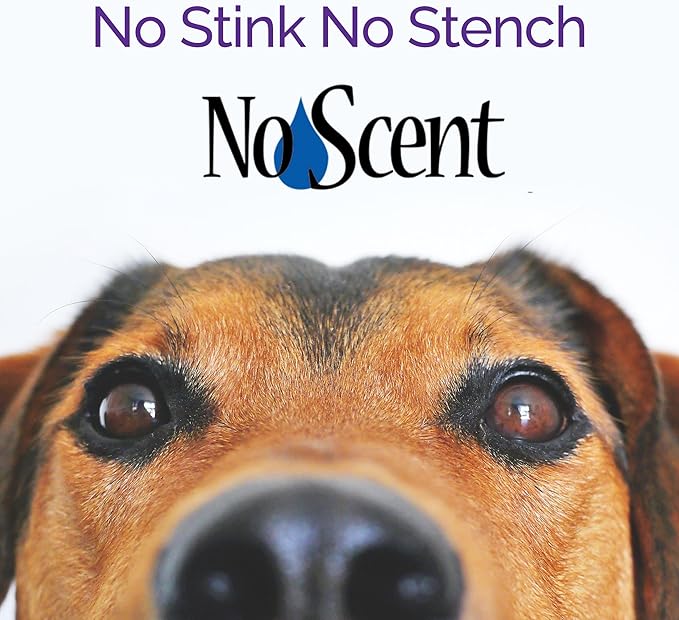 No Scent Carpet Upholstery & Fabric Furniture Spray Spot Cleaner for Wet Dog Smell, Cat Spray, Pet Odor, Urine, Poop & Secretions (32 Fl Oz / 946 mL)