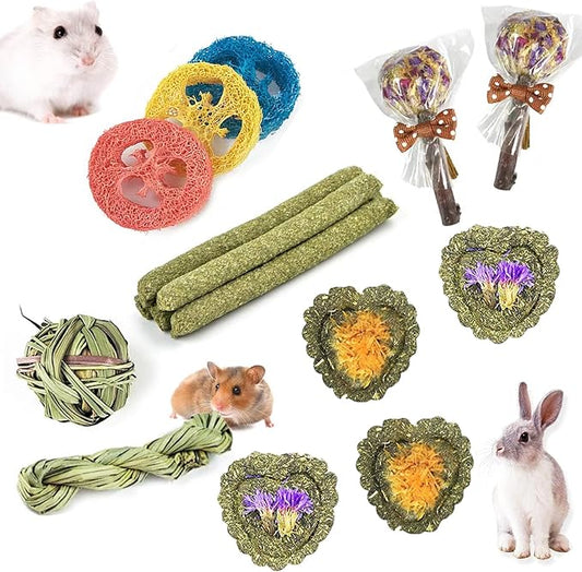 Rabbit Chew Toys for Teeth, 16PCS Natural Timothy Hay Chew Toy, Improve Dental Health for Bunny/Chinchilla/Guinea Pig/Hamsters/Holland Lop, Small Rodent Pet Molar Teeth Treats Toys