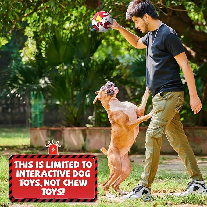 QDAN Premium Dog Balls Toys, Outdoor Dogs Toy for Small Medium Dogs, Puppy Birthday Gifts, Dog Soccer Ball, 6 Inch, Chicken Ball