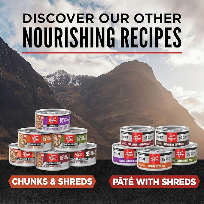 ORIJEN Premium Pate Wet Cat Food in Bone Broth Tuna Salmon & Beef Entrée 3oz Cans (24 Count)