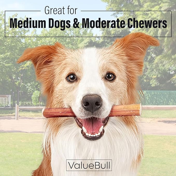 ValueBull Bully Sticks for Dogs, Medium 6 Inch, 400 Count Wholesale Pack - All Natural, Grass Fed, Single Ingredient, Long Lasting Dog Treats