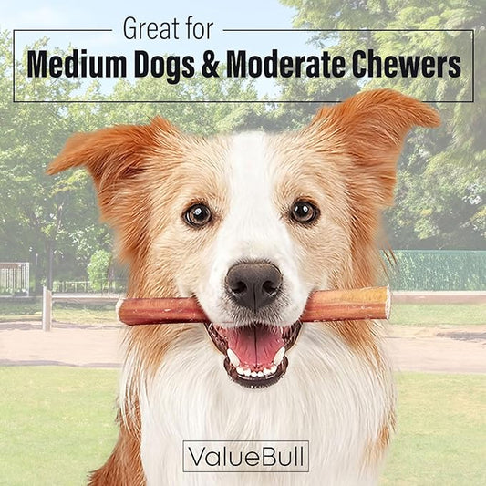 ValueBull Bully Sticks for Dogs, Medium 6 Inch, 100 Count Bulk Pack - All Natural, Grass Fed, Single Ingredient, Long Lasting Dog Treats