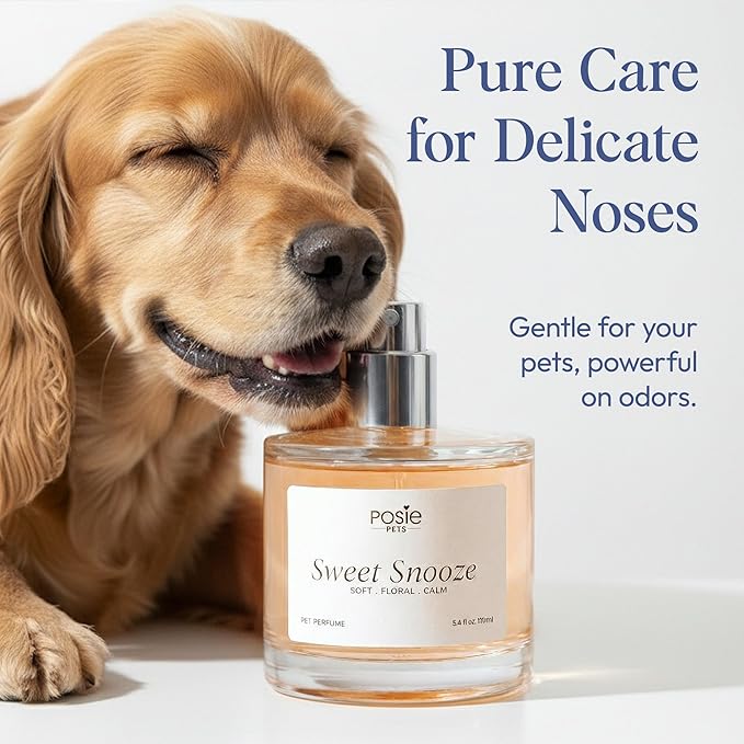 Dog Cologne Spray with Long Lasting Jasmine, Musk, and Vanilla Scent - Vegan Alcohol-Free Pet Deodorizer for Smelly Dogs - Water-Based Luxury Puppy Grooming Fragrance - Sweet Snooze, 100ml