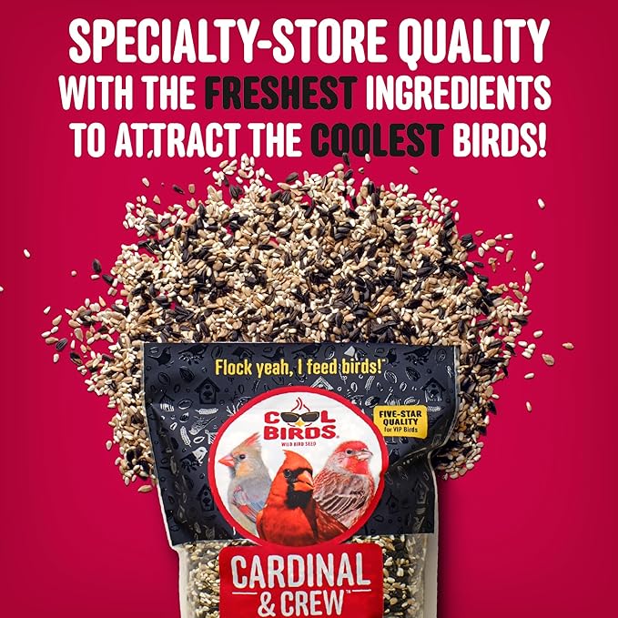 Cardinal & Crew Wild Bird Seed – 10 lb. Black Oil Sunflower, Sunflower Hearts & Safflower Blend for Cardinals, Grosbeaks & Chickadees – Bird Food for Outside Feeders