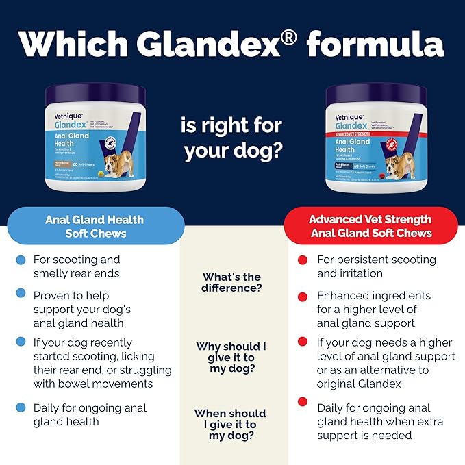 Vetnique Labs Glandex Anal Gland Soft Chew Treats with Pumpkin for Dogs Digestive Enzymes, Probiotics Fiber Supplement for Dogs Boot The Scoot (Bacon/Pork Chews, 60 Count)