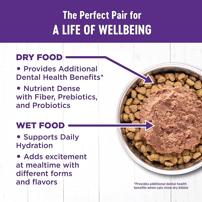 Wellness Complete Health Pate Adult Wet Cat Food, Natural, Protein-Rich, Grain Free, 12.5 Ounce, 12 Pack, (Chicken & Lobster)