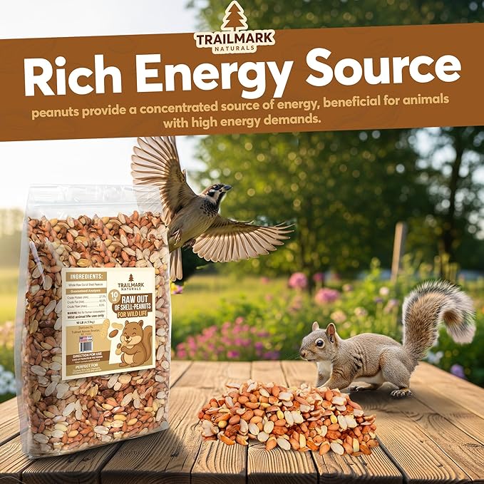 11 LB - Raw Shelled Peanuts for Squirrels, Out of Shell Peanuts for Birds and Wildlife- Squirrel Food, Wild Bird Seed - Grown in The USA