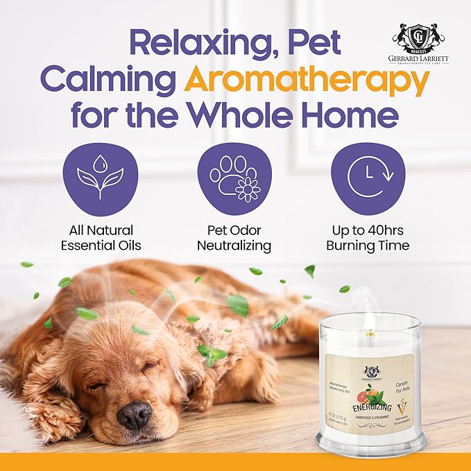 Pet Odor Eliminator Candle Grapefruit and Spearmint Scented Candle, Calming Candles Aromatherapy for Home Decor, Soy Wax Pet Candles Odor Eliminator for Animal Lover, Aromatherapy by Gerrard Larriett