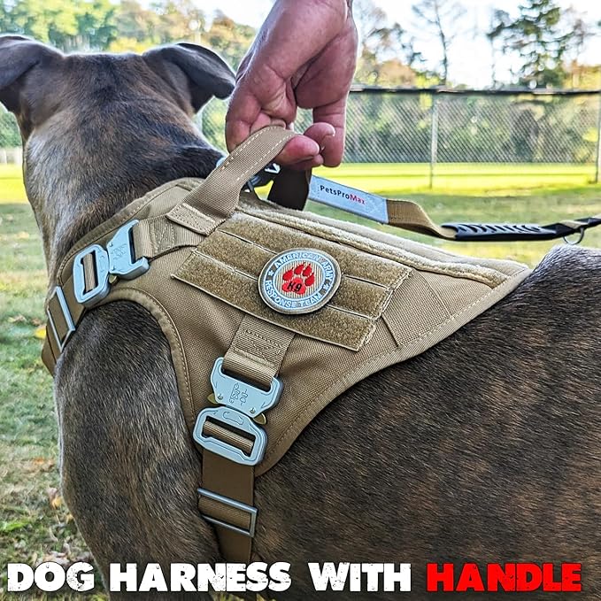 Pets ProMax Tactical Dog Harness – Military-Grade, All-Metal Buckles, No Plastic, Waterproof Vest with Control Handle – No-Pull, No-Choke Design for Small Dogs (Red, S)