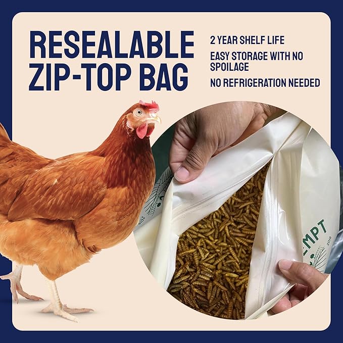 Black Soldier Fly Larvae for Chickens - 5 lb Pack of 1 - Protein Boost & High Protein Chicken Feed - 4% Calcium Treats & Reptile Calcium - Non-GMO Organic Grubs & Bird Feed