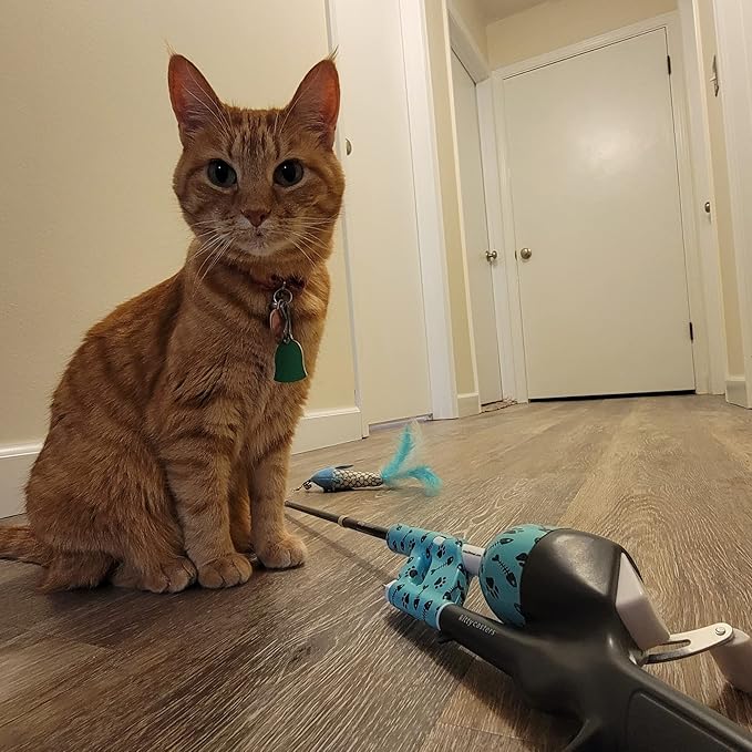 Cat Caster Fishing Pole Toy | Tangle Free & Easy to Store. Includes One Soft Toy and 2 Plastic Fish | The Ultimate Gift for Kitty Lovers, Cat Camo