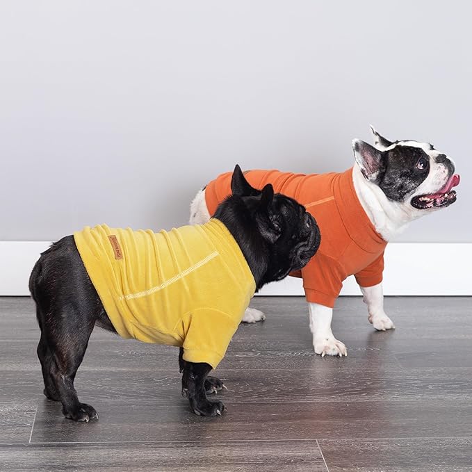 Fitwarm 3 Pack Classic Fleece Dog Sweater, Turtleneck Dog Sweatshirt, Winter Clothes for Small Dogs BoyGirl, Pet Pullover Jumper, Cat Apparel, Orange, Yellow, Coffee, Medium