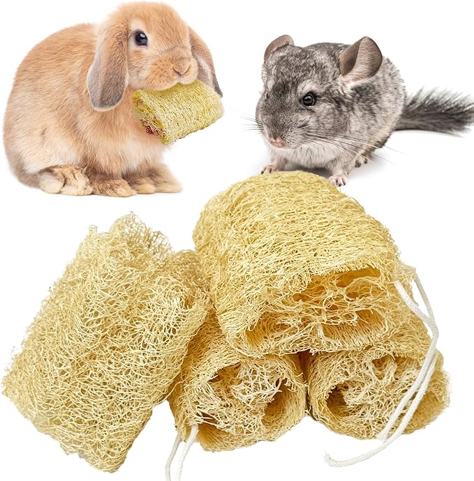 BNOSDM Bunny Chew Toys Natural Loofah 4PCS Bunny Teeth Grinding Toy Rabbit Fiber-Rich Treats Pet Entertainment Accessories for Rabbits Chinchillas Guinea Pig（M）